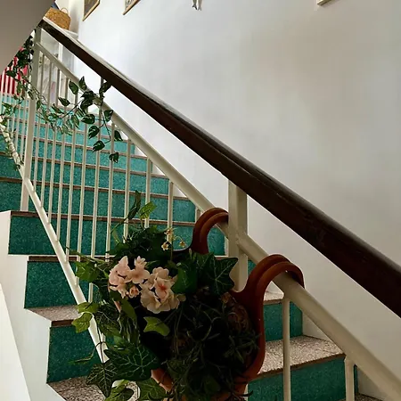 Διαμέρισμα Luka Pavo *